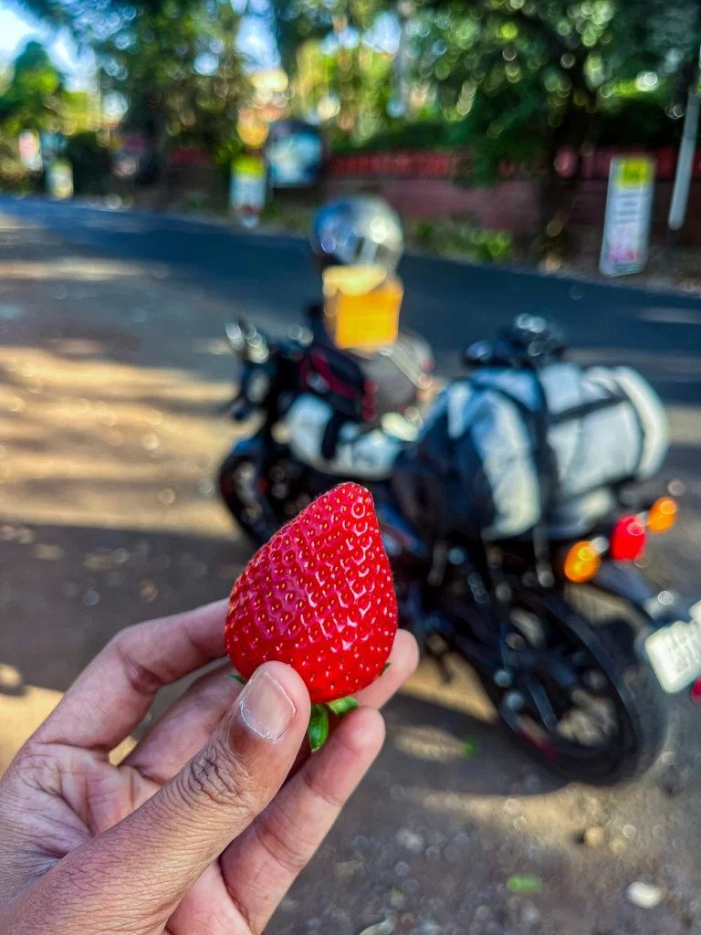 I also overdosed on strawberries,